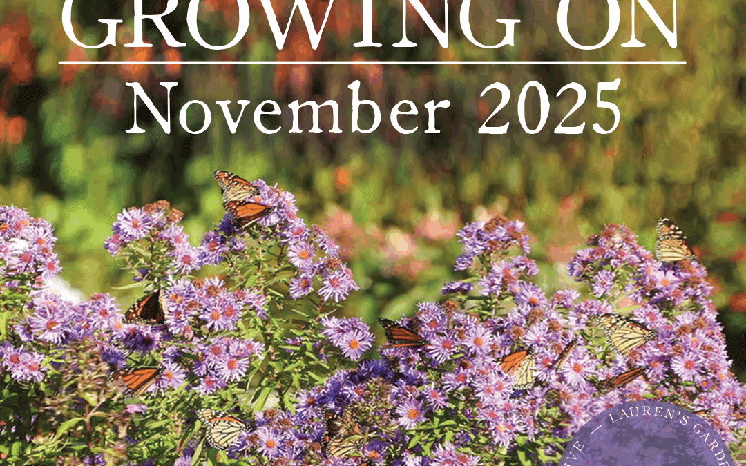 Classes at Cultivate on 11/8 and 11/9!