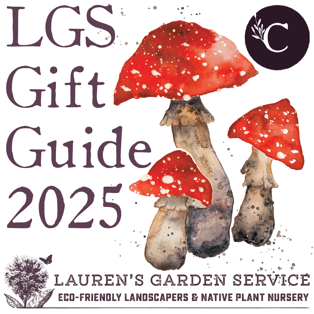 Gift Guide 2025 Gift Guide 2025