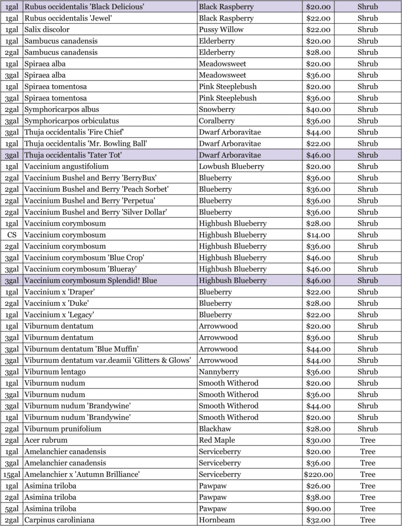 Nursery 2026 Plan 10 Nursery 2026 Plan 10