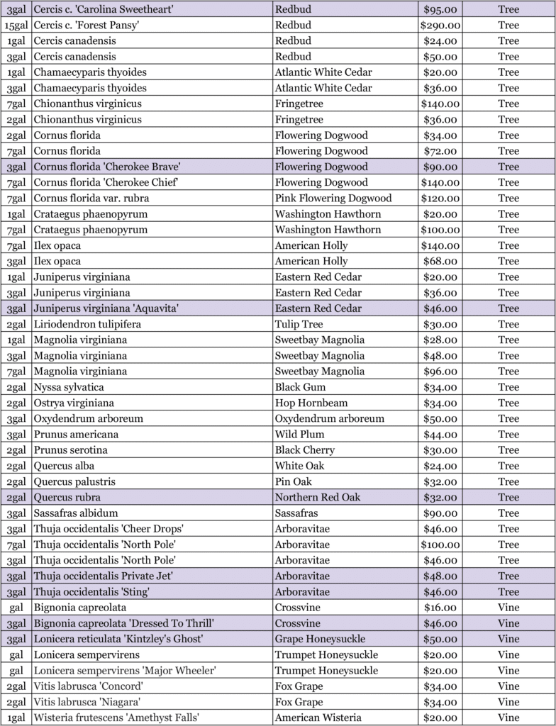 Nursery 2026 Plan 11 Nursery 2026 Plan 11