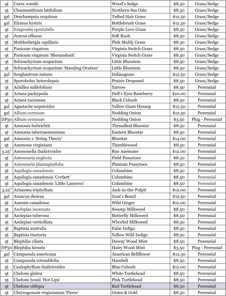 Nursery 2026 Plan 2 Nursery 2026 Plan 2