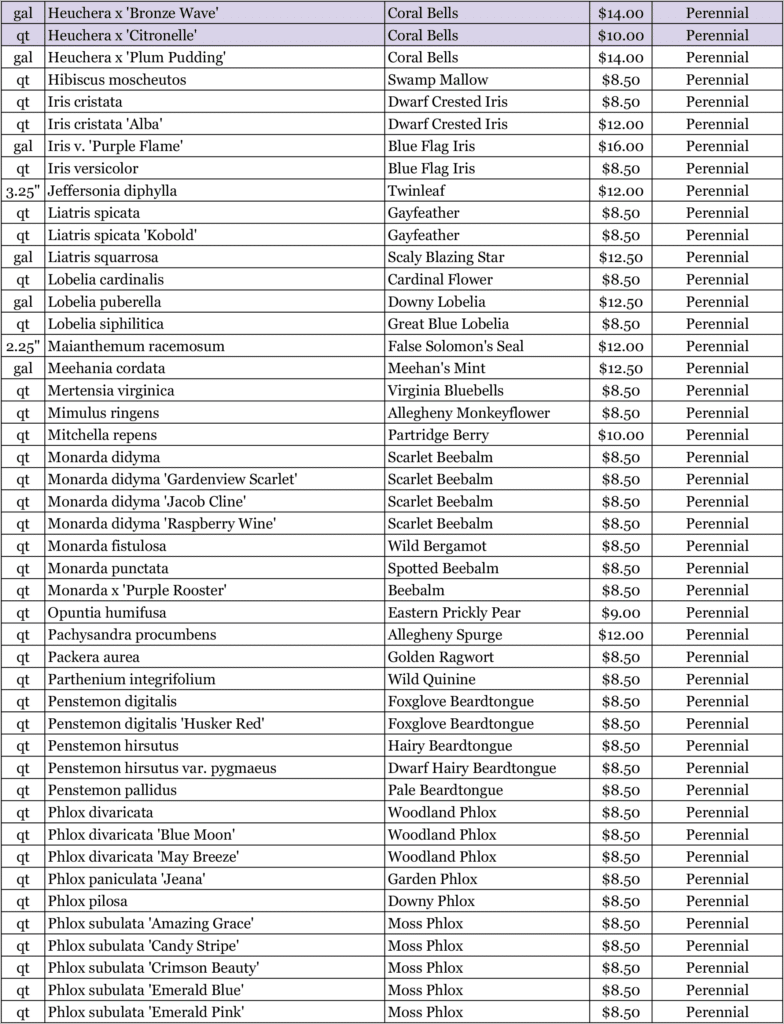 Nursery 2026 Plan 4 Nursery 2026 Plan 4