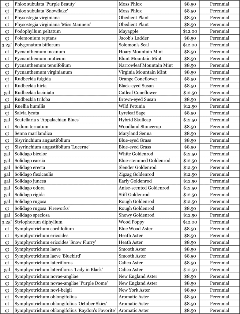 Nursery 2026 Plan 5 Nursery 2026 Plan 5