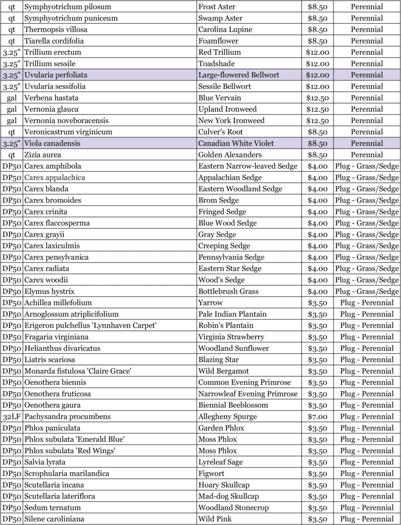 Nursery 2026 Plan 6 Nursery 2026 Plan 6