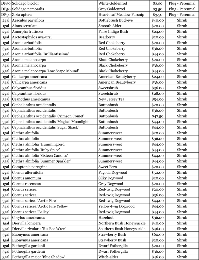 Nursery 2026 Plan 7 Nursery 2026 Plan 7