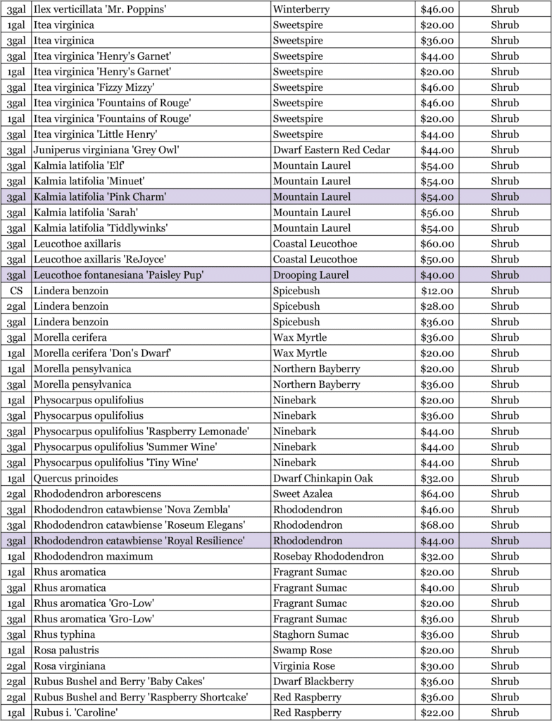 Nursery 2026 Plan 9 Nursery 2026 Plan 9
