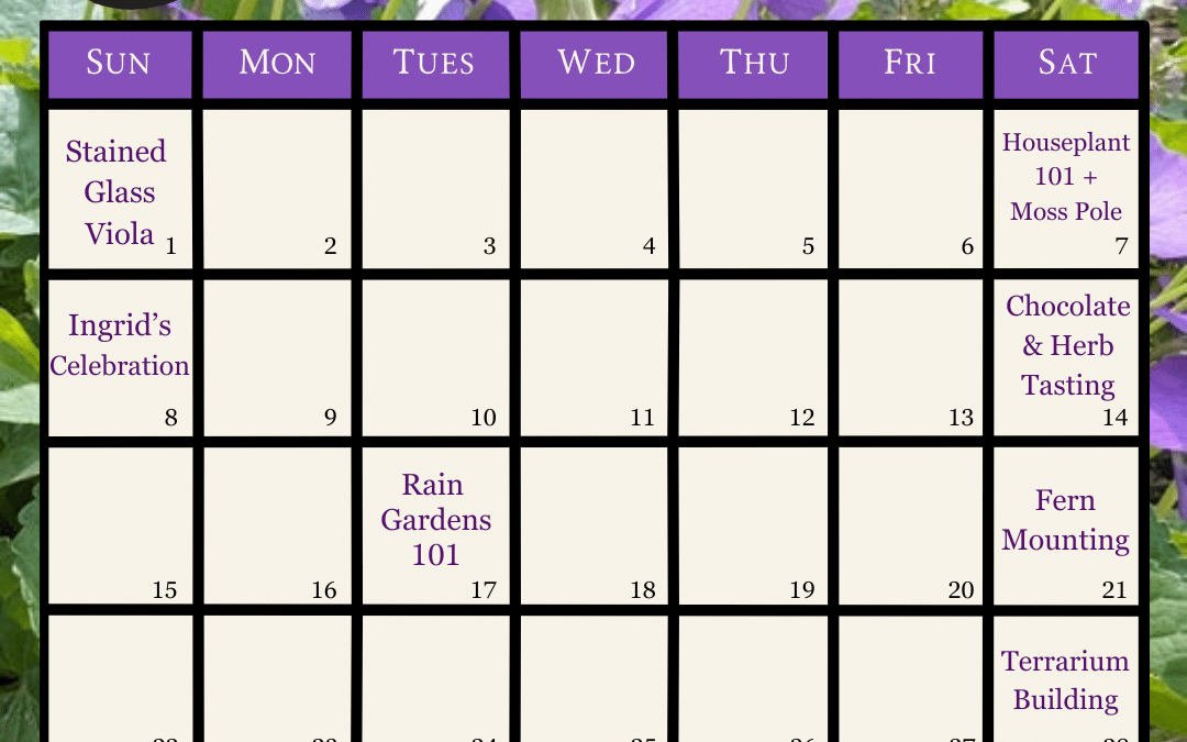 Cultivate Learning – February 2026 Classes & Events at LGS