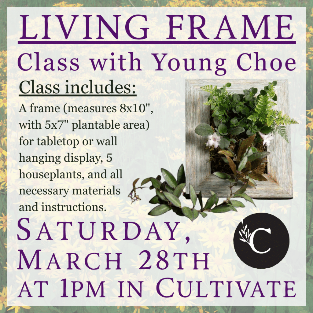 Living Frame Class 3.28 Living Frame Class 3.28