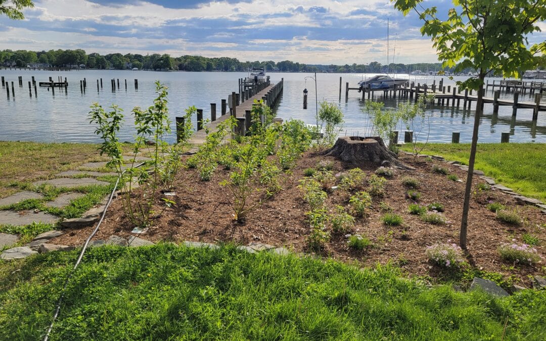 A Bay Safe Garden In Shady Side, MD