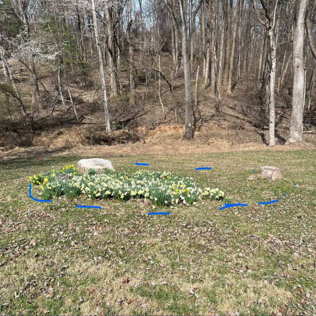 Summer Install stumped