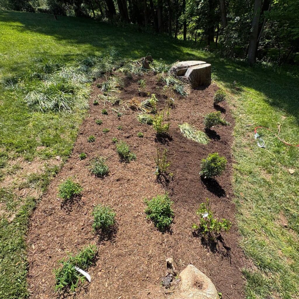 Pollinator Garden After Tree Removal Pollinator Garden After Tree Removal