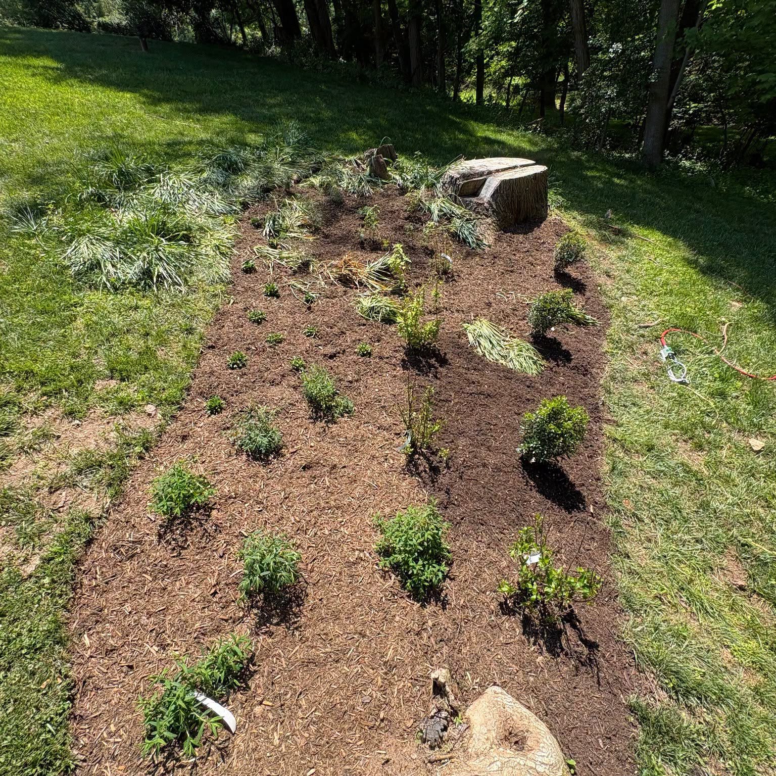 Pollinator Garden After Tree Removal Pollinator Garden After Tree Removal