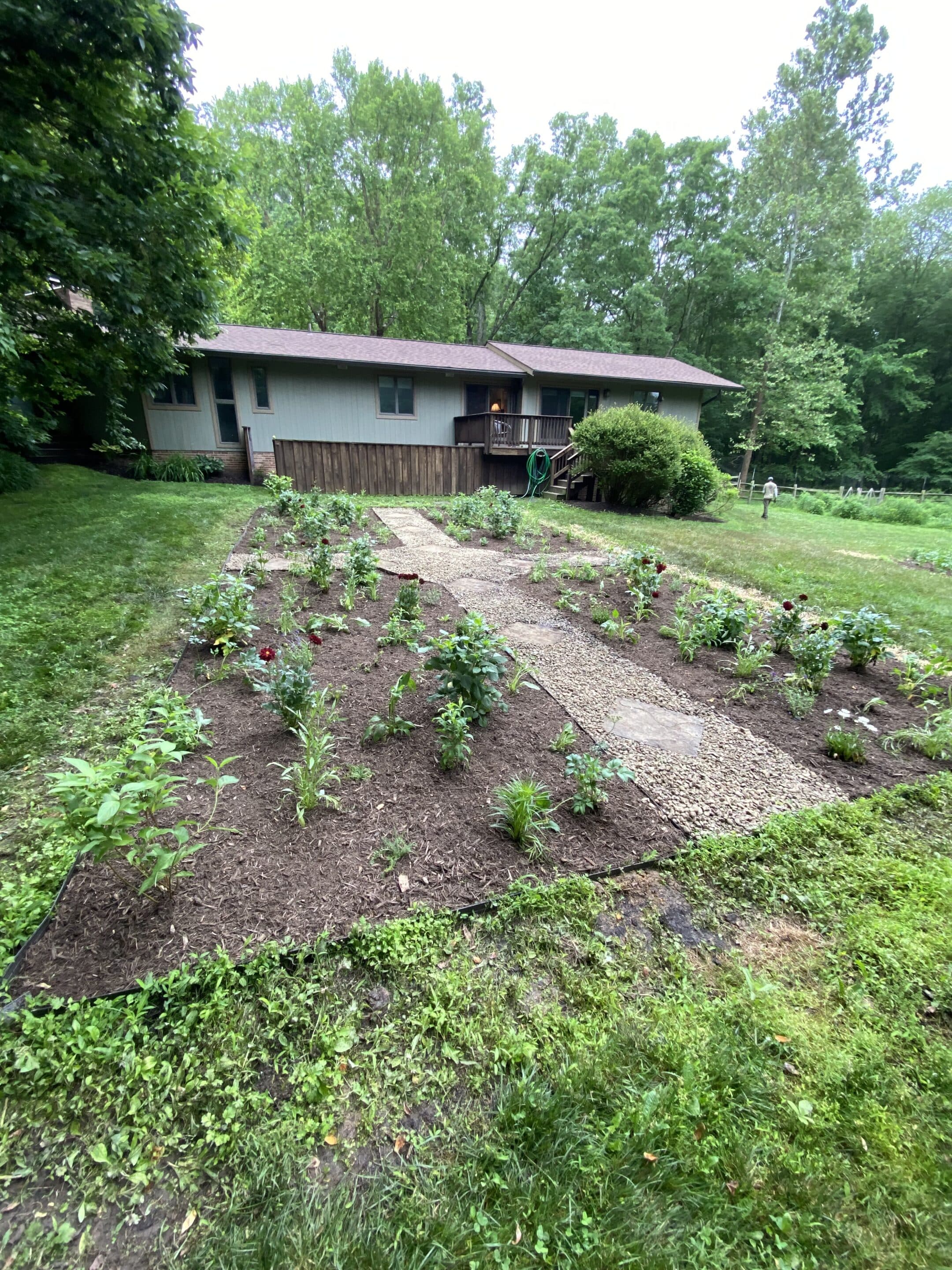 cut garden after cut garden after