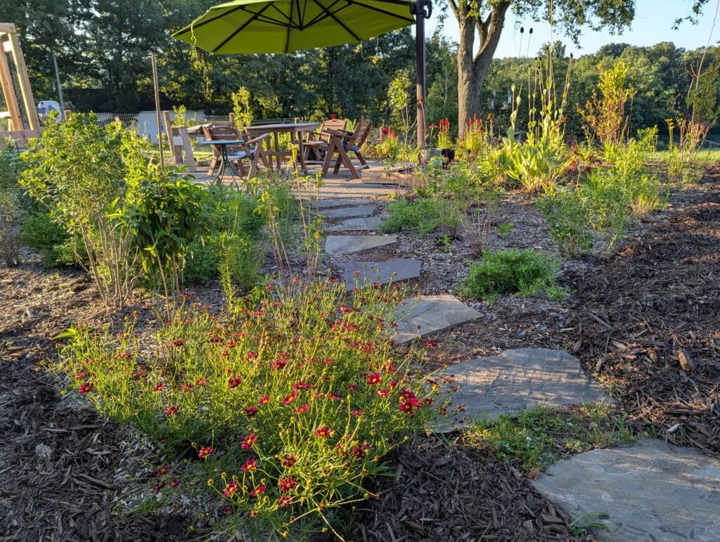 Native Plant Garden Native Plant Garden