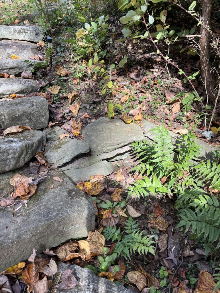 Eco-friendly fall cleanup