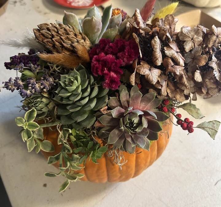 Plant Giveaways @ Fall Fest, 5th Birthday Party, & October Classes!