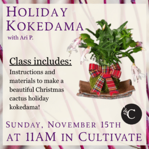 Holiday Kokedama 11.15 (11AM) Holiday Kokedama 11.15 (11AM)